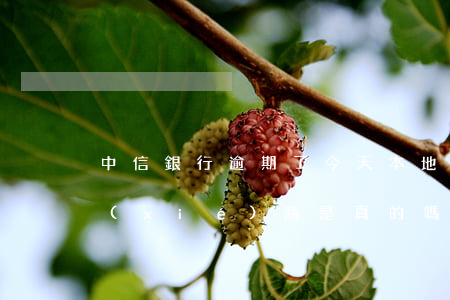 中信銀行逾期了,今天本地的打電話說找我協(xié)商,是真的嗎，中信銀行逾期，協(xié)商還款？是否真實可信？
